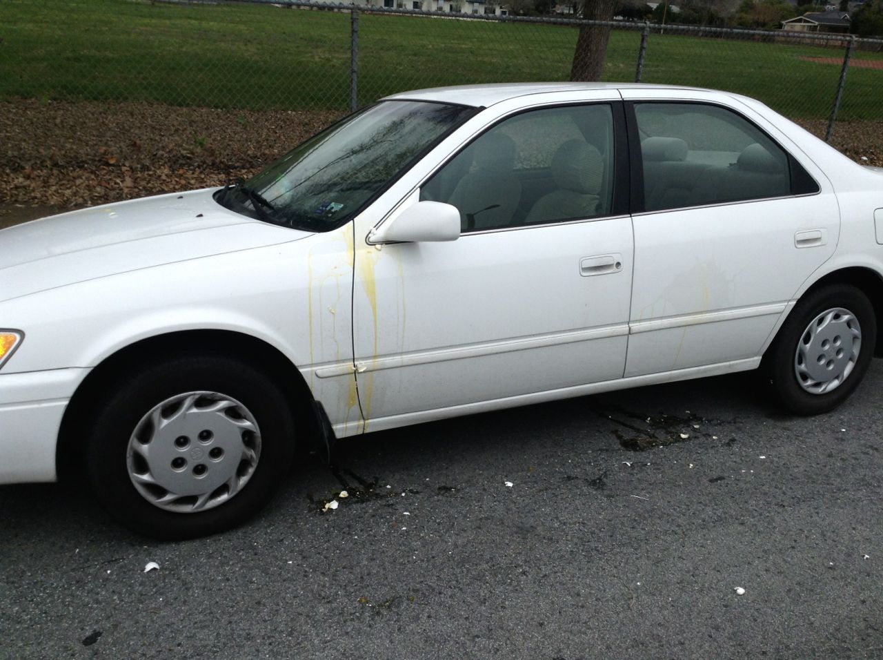 Egg remnants on my car.